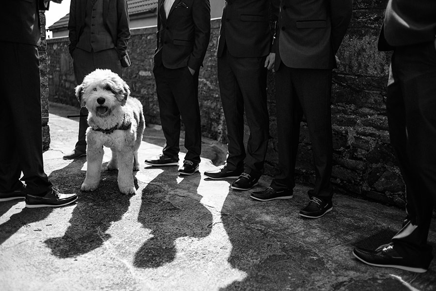 boho wedding-ireland photographers-31