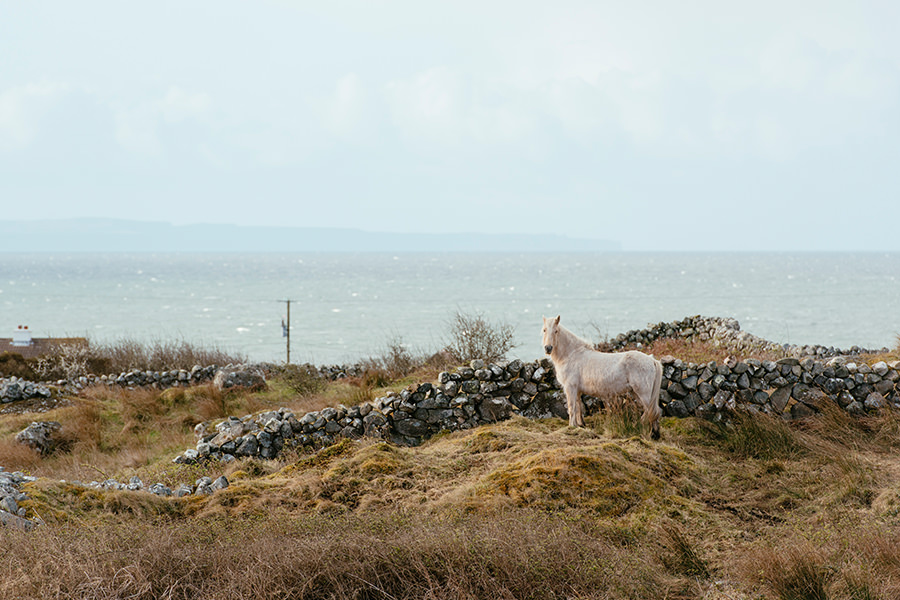 connemara wedding-ireland photography-01b