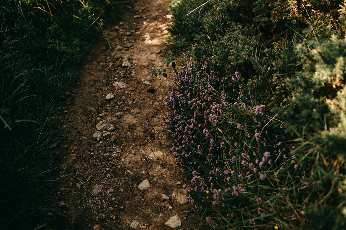 Ireland elopement | Ch + W 27