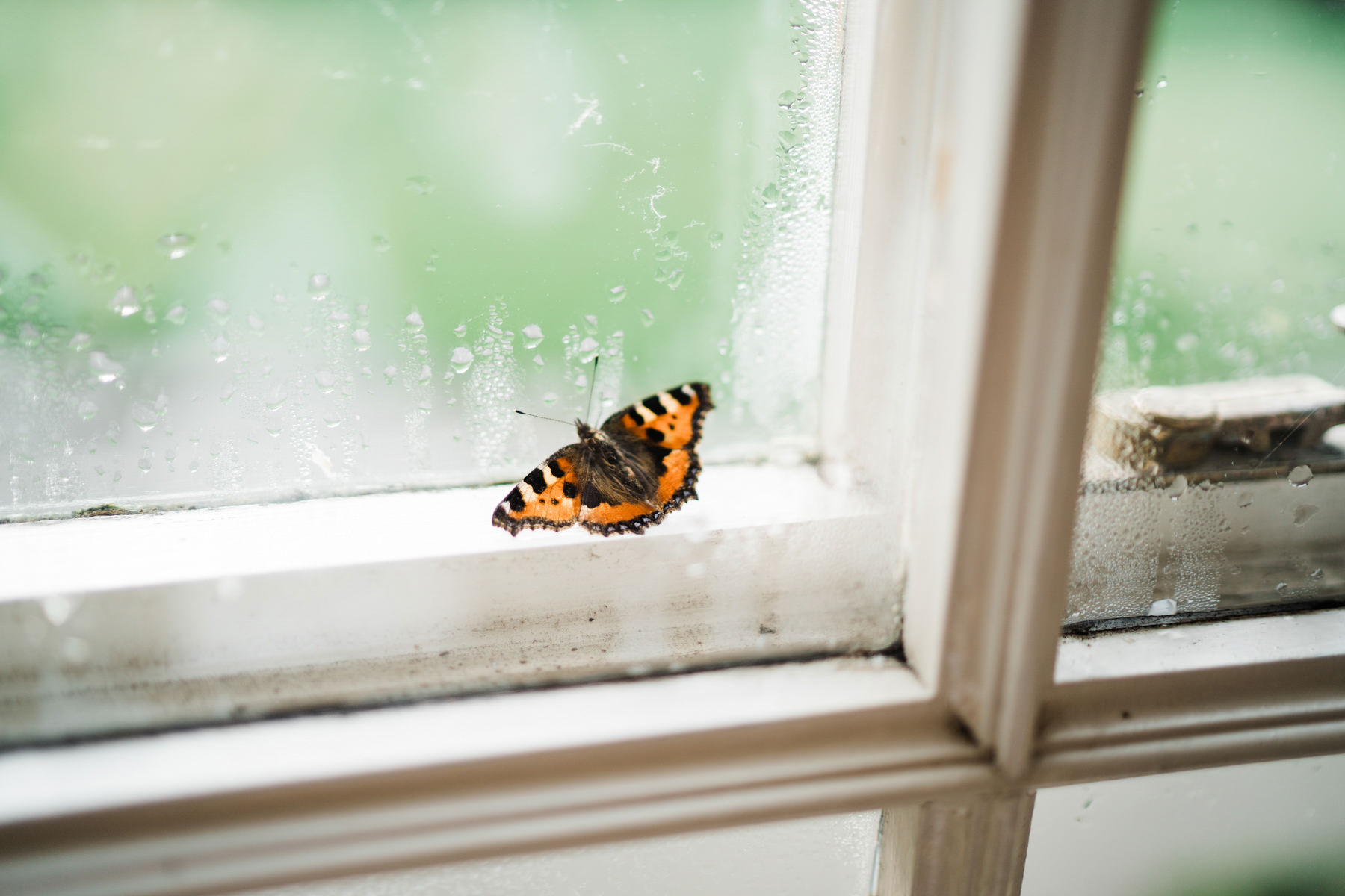 Superb Cloughjordan House Wedding Photography | E + J 40