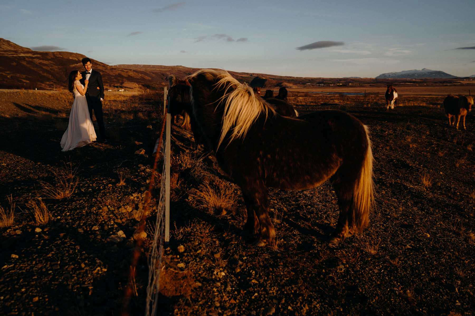 M+M | Iceland elopement | Magical Iceland wedding photography 44