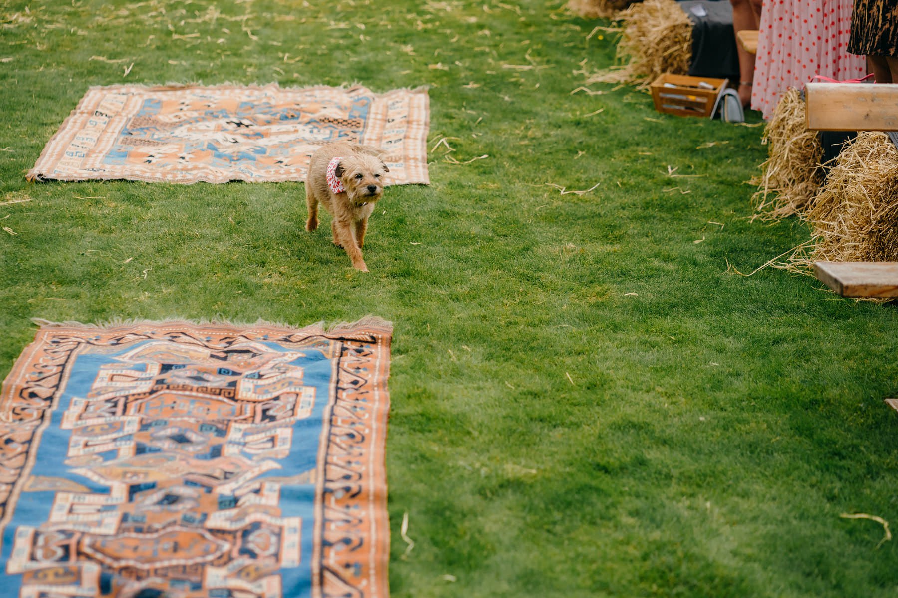 Vibrant home garden wedding in Ireland 40