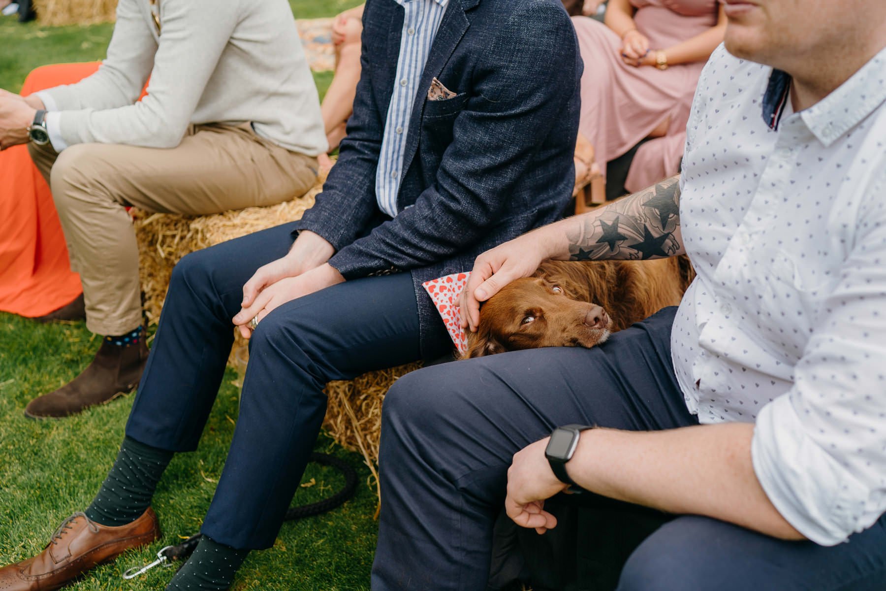 Vibrant home garden wedding in Ireland 49