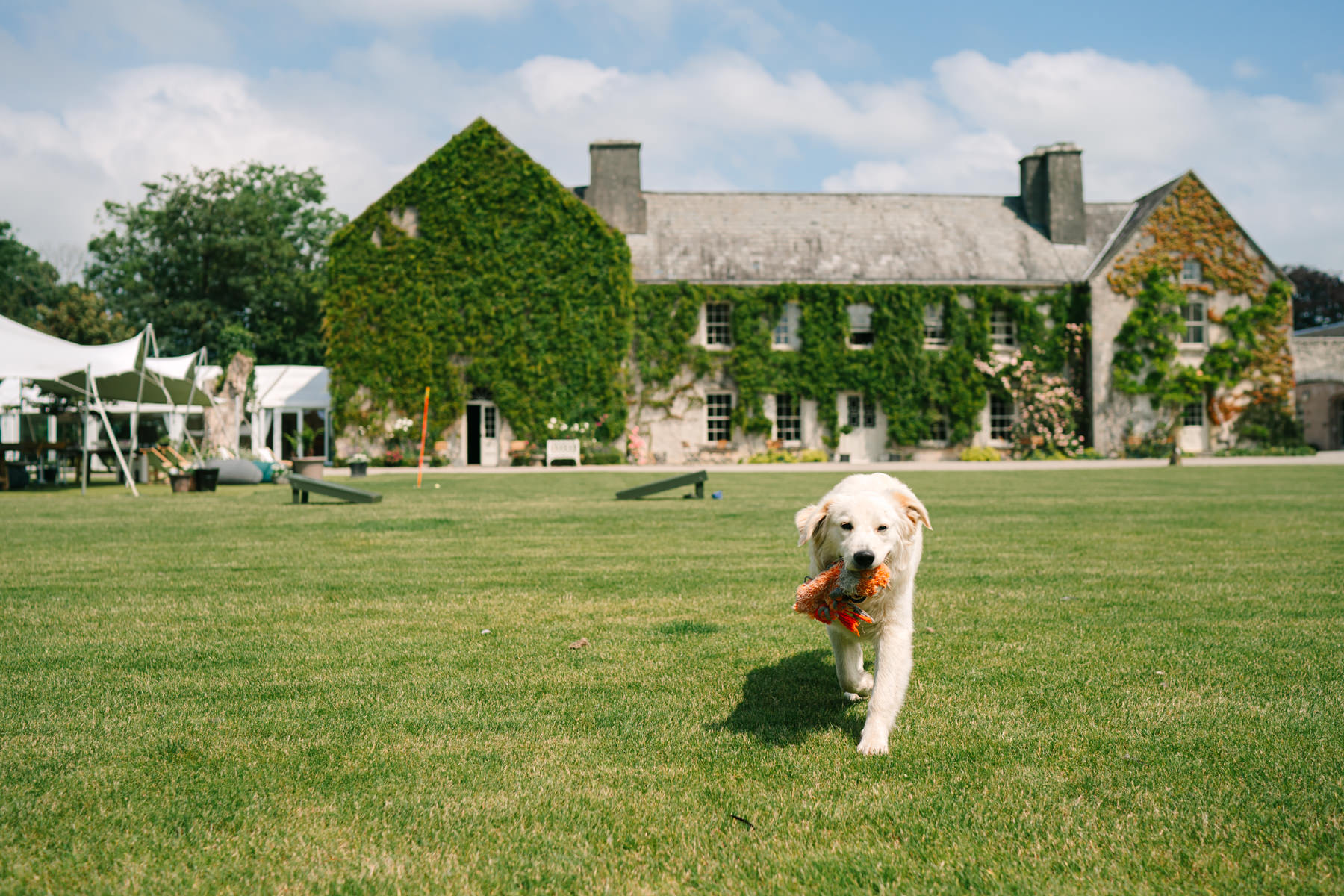 Garden wedding at Cloughjordan House