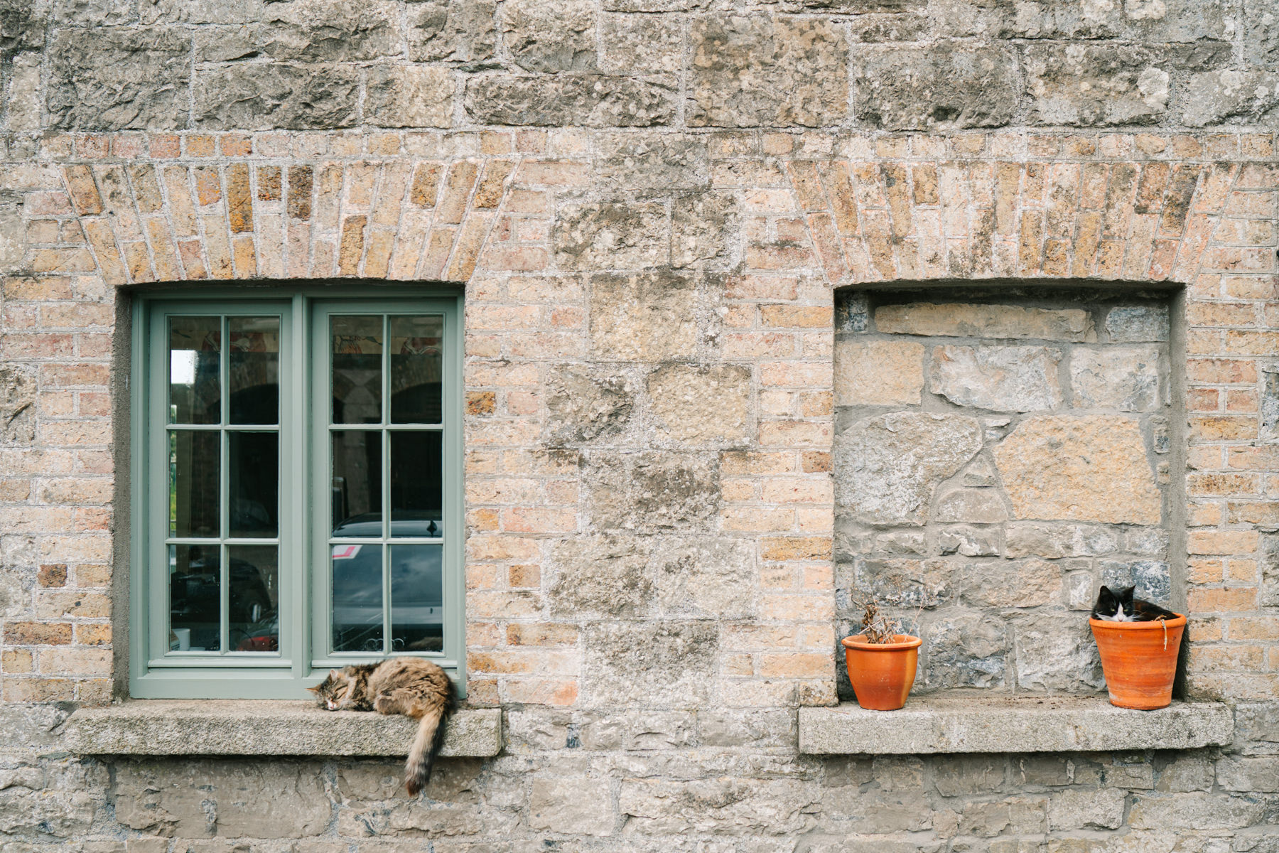 Martinstown relaxed wedding. Siobhan and Ken's rustic fun summer wedding. 17