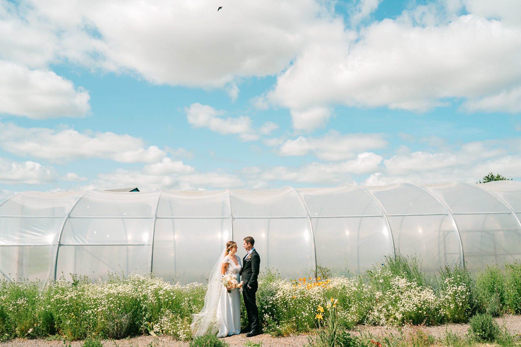 A Summer Wedding Full of Love and Laughter at Cloughjordan House. 27